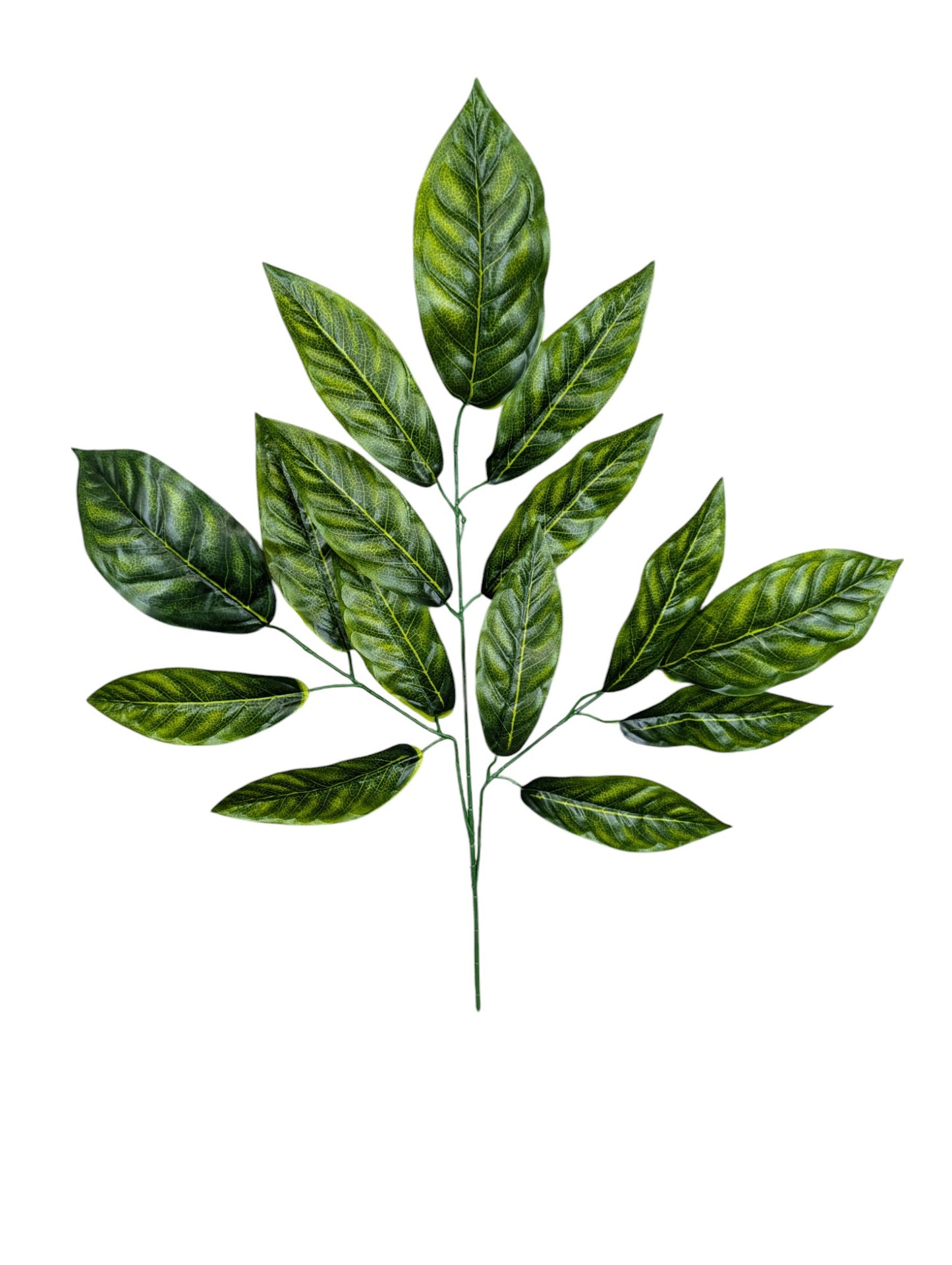 Large Leaf Spray