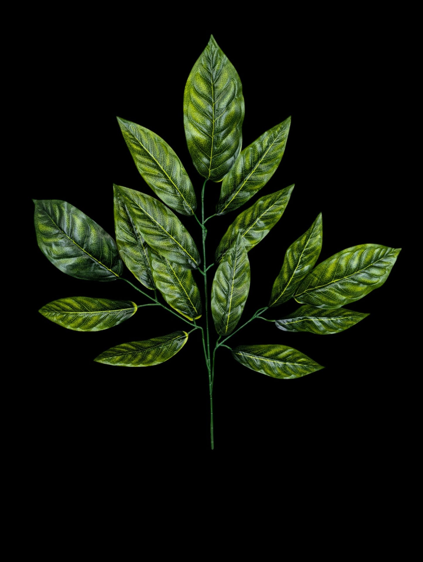 Large Leaf Spray