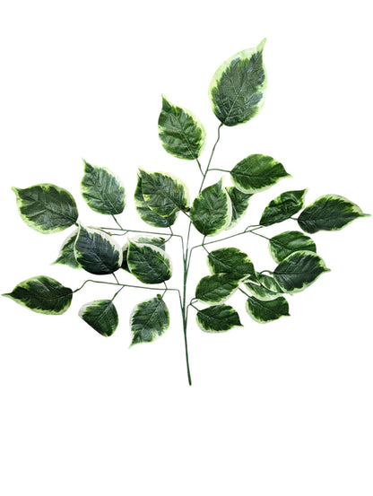 Large Leaf Spray