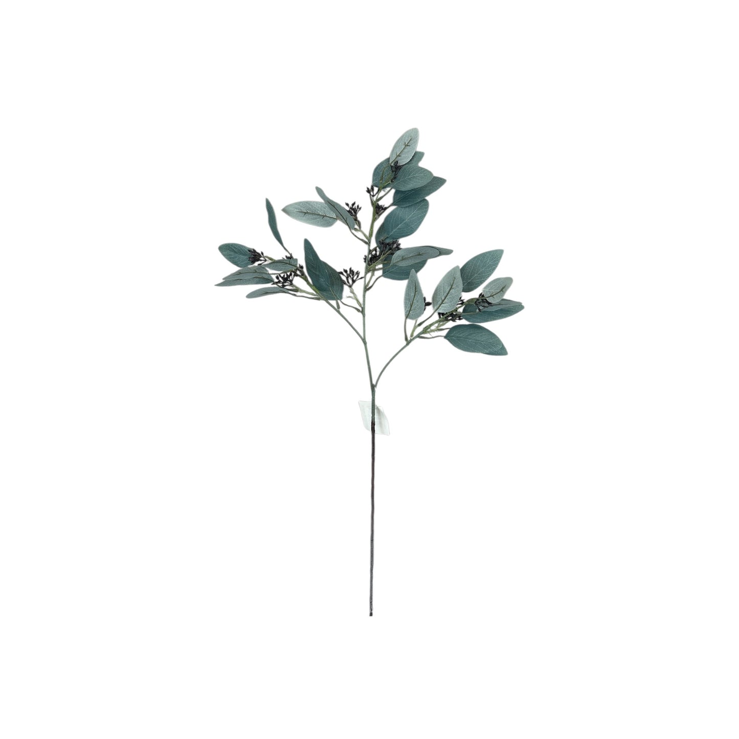 Seeded Eucalyptus Spray