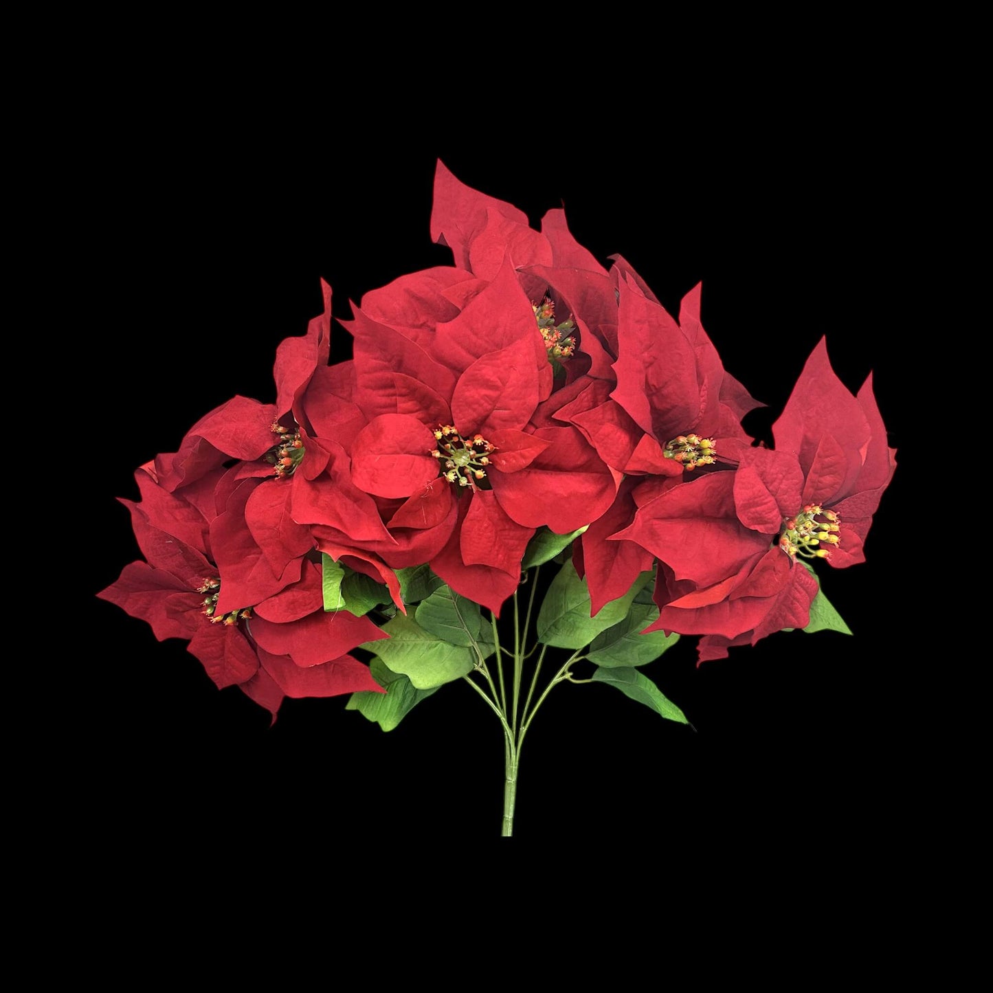 Red Poinsettia Bush- 7 heads