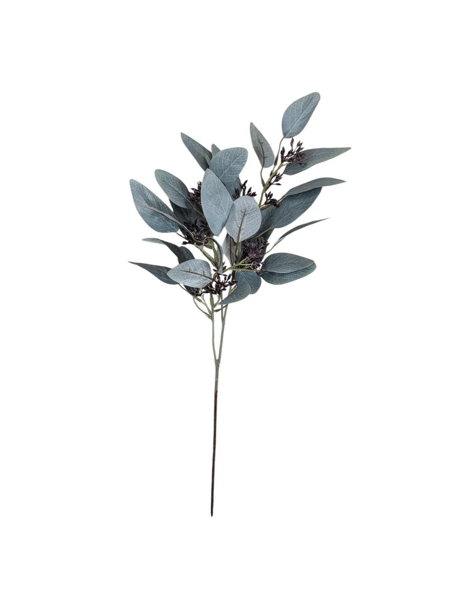 Seeded Euculyptus Spray