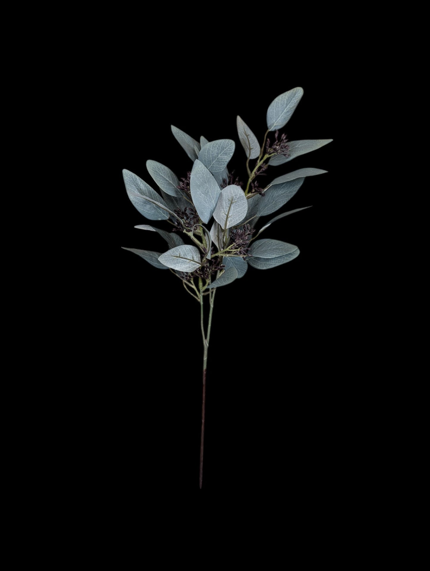 Seeded Euculyptus Spray