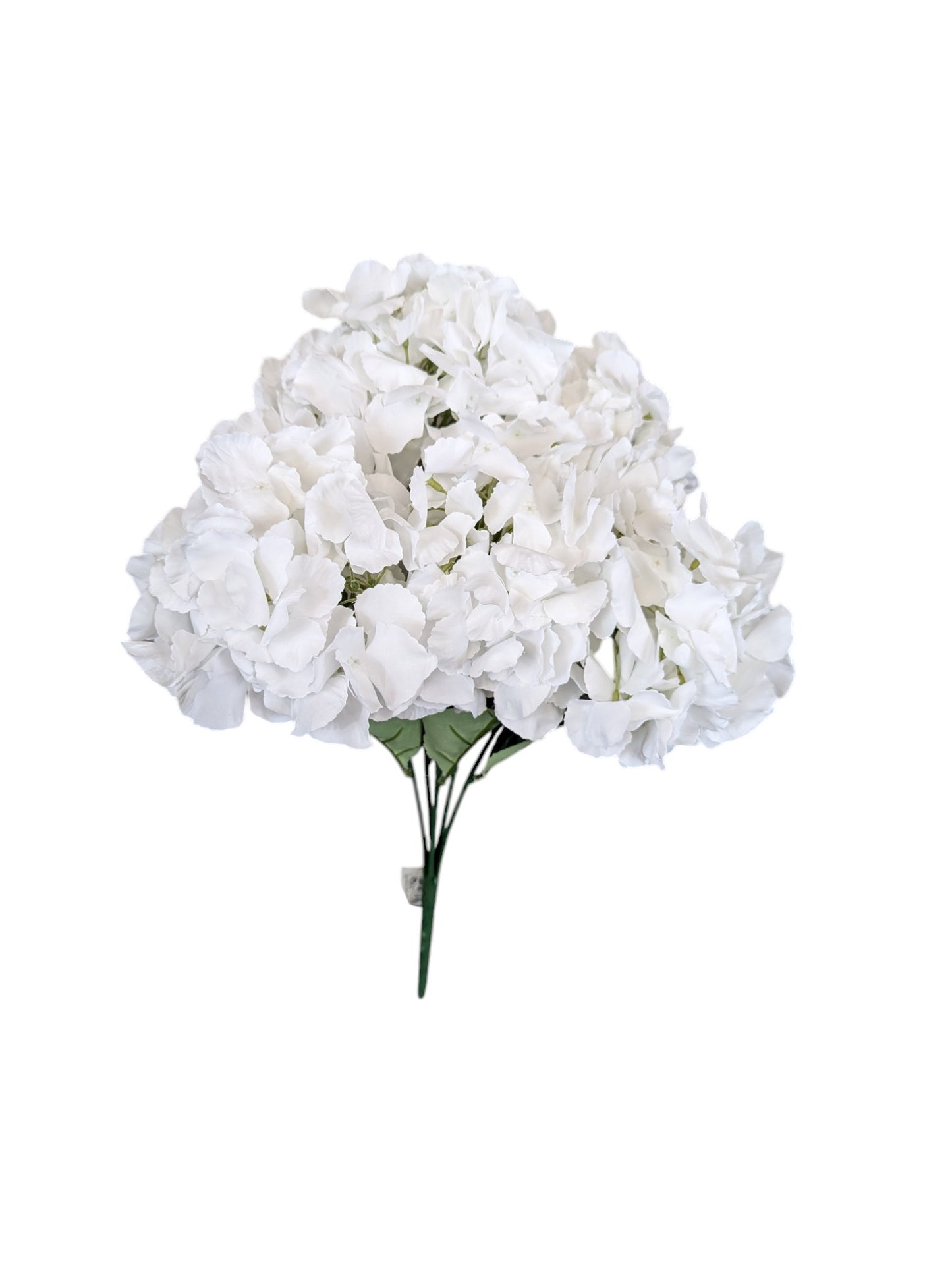 Hydrangea Bush XL White