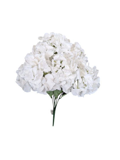 Hydrangea Bush XL White