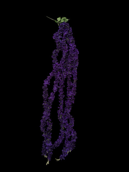 Hanging Wisteria Spray x5 Strands