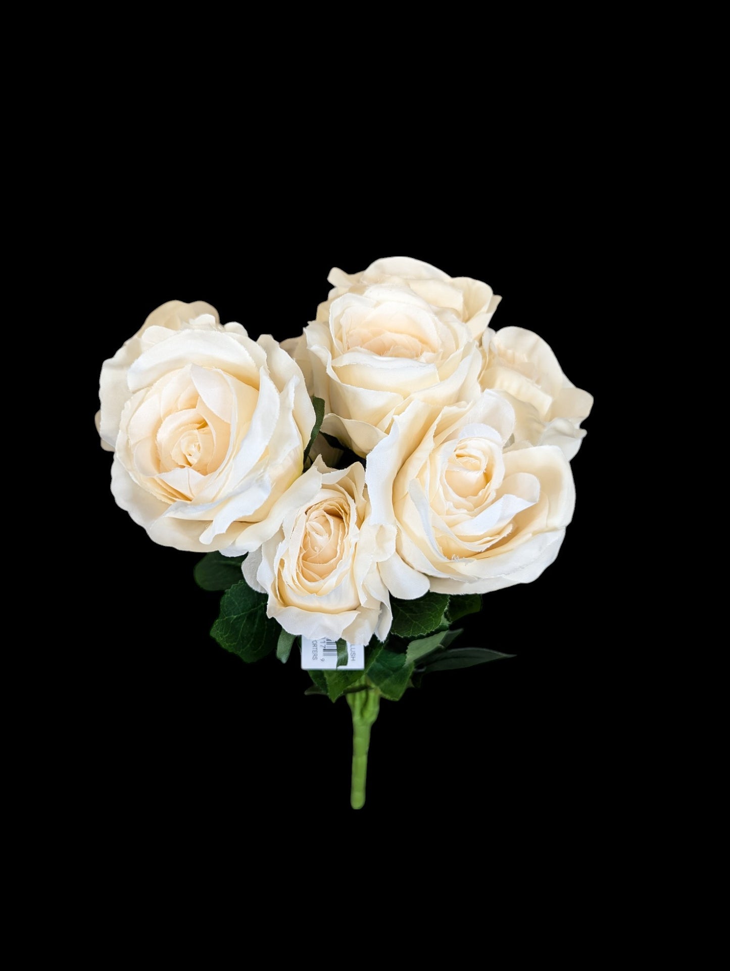 Rose Bush x 9 Heads