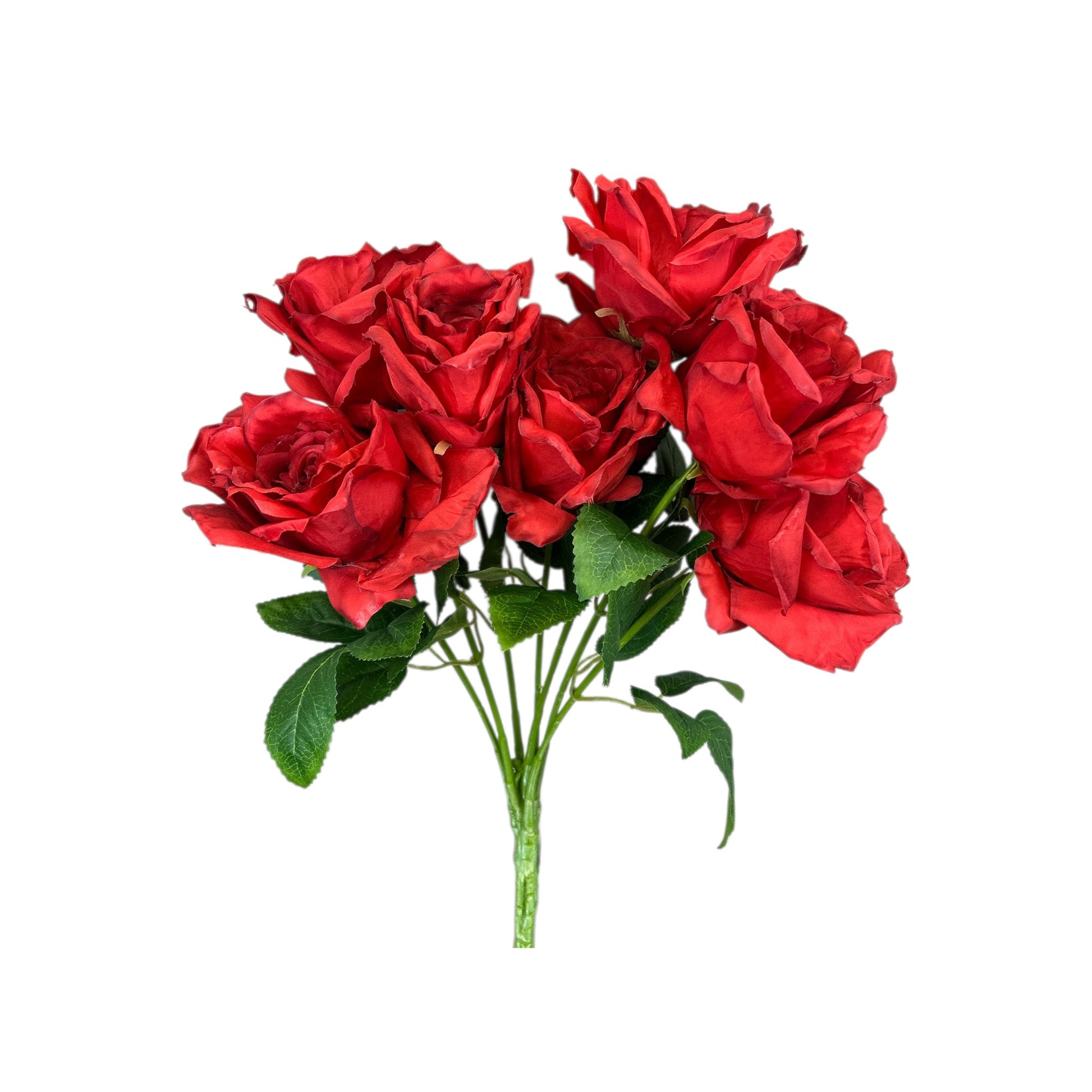 Red Rose Bush- 7 heads