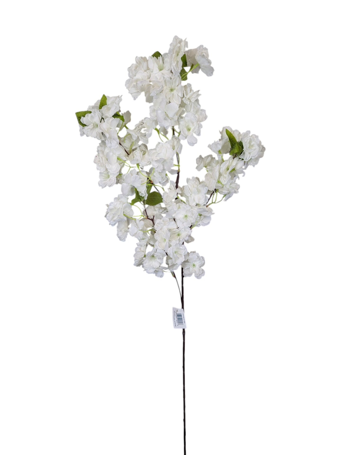 Cherry Blossom Spray BW 41"