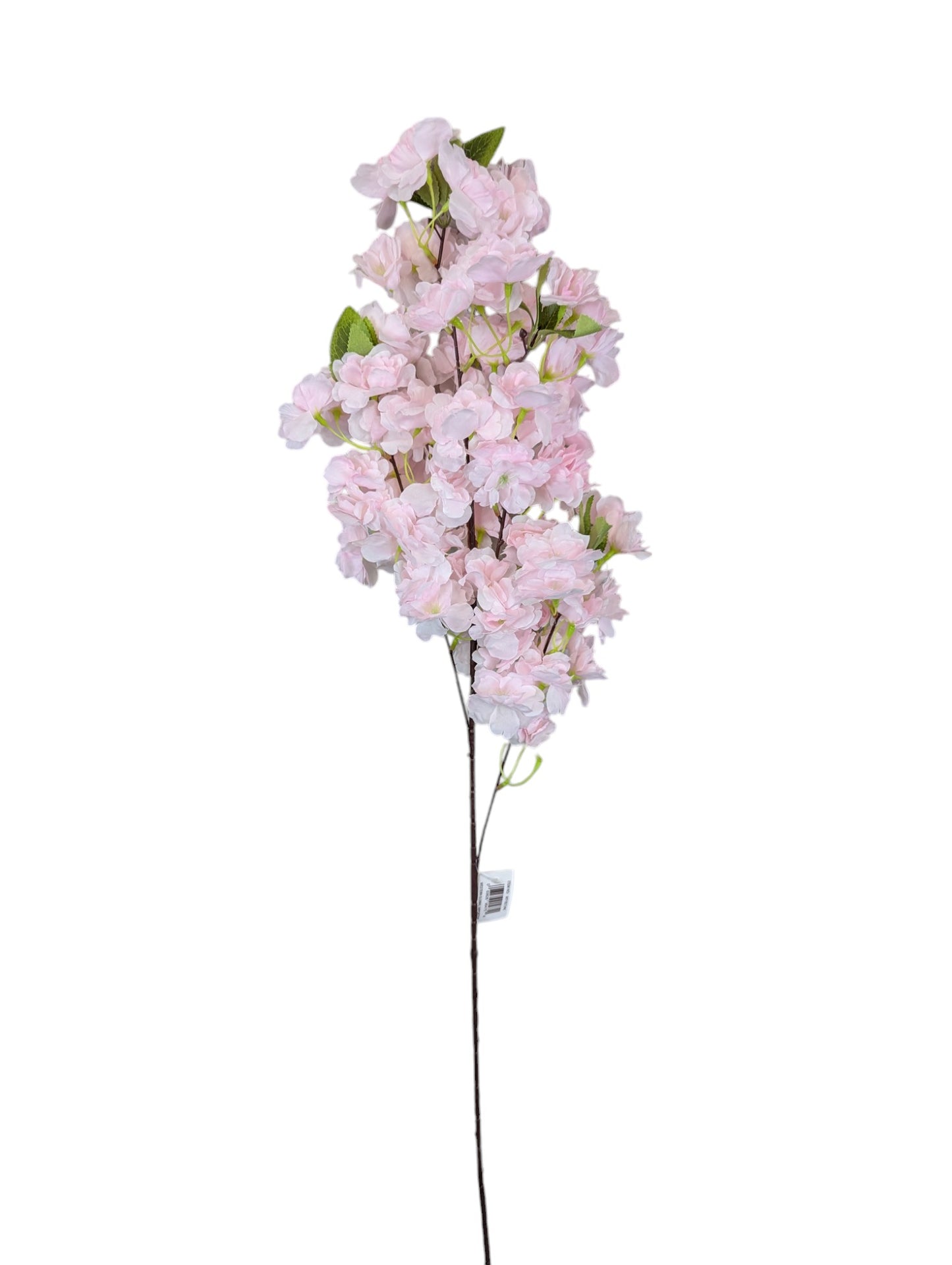 Cherry Blossom Spray LT/PK 41"