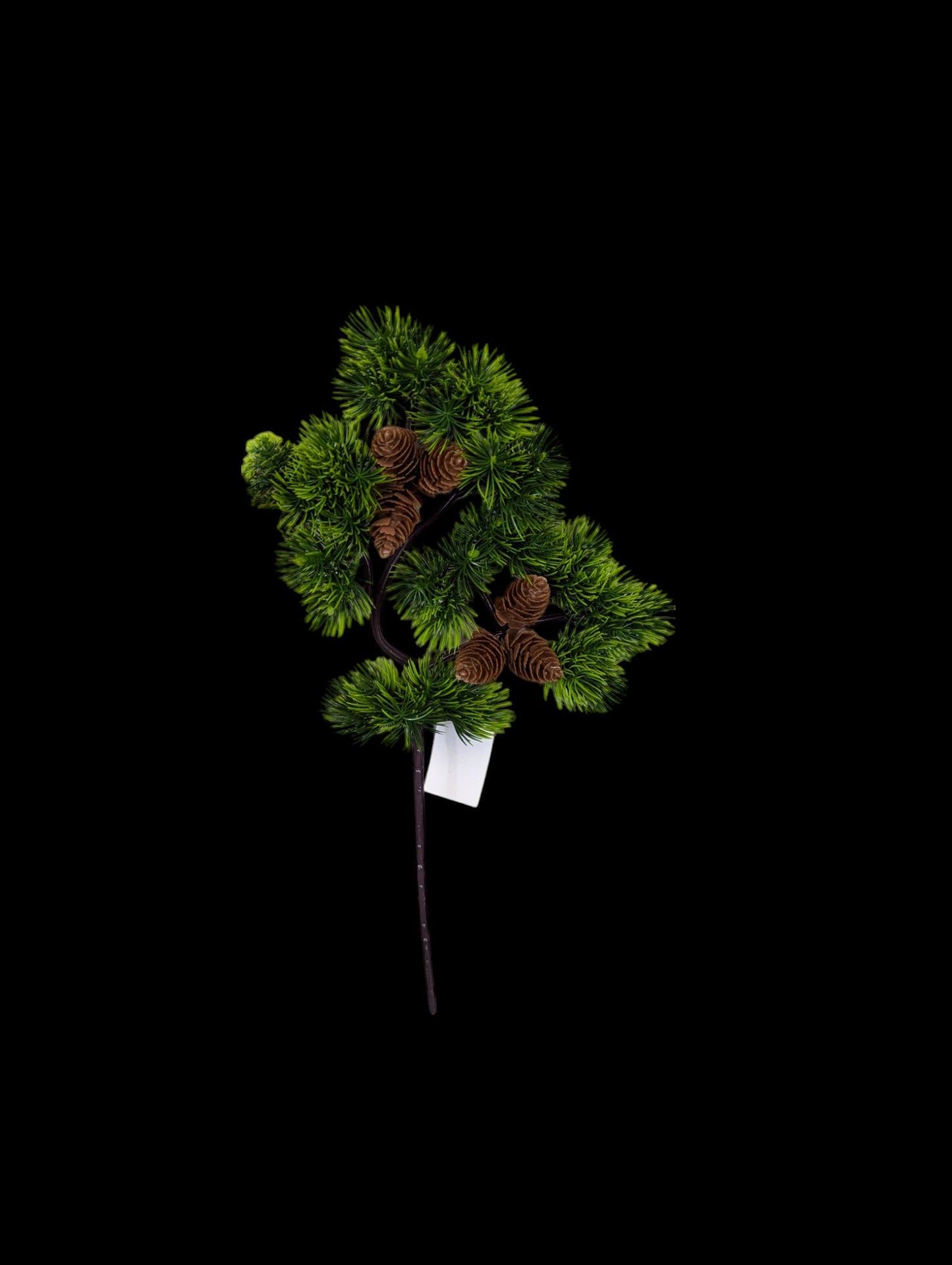 Greenery Pick with Cons