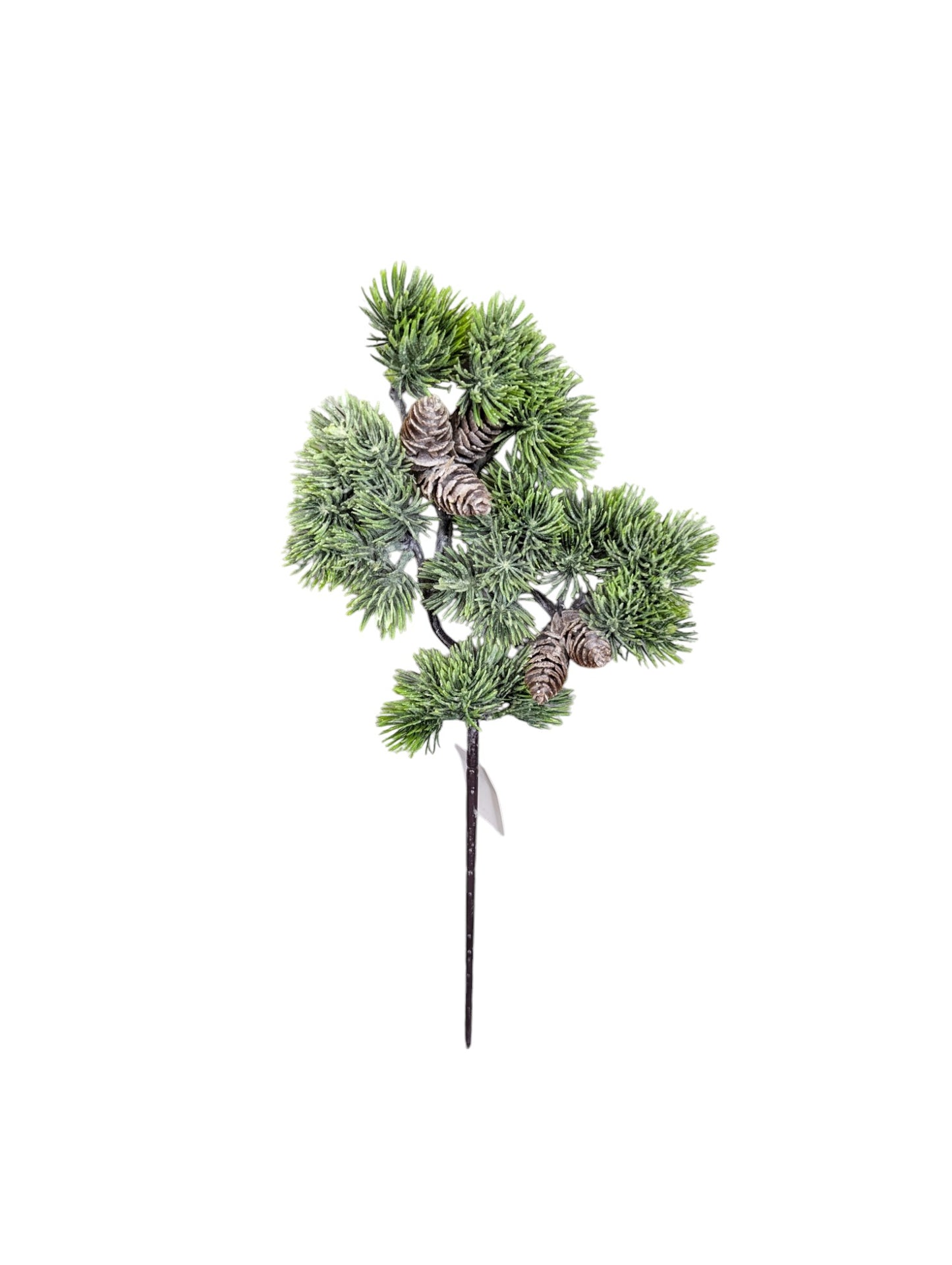 Frosted Greenery Pick with Cons