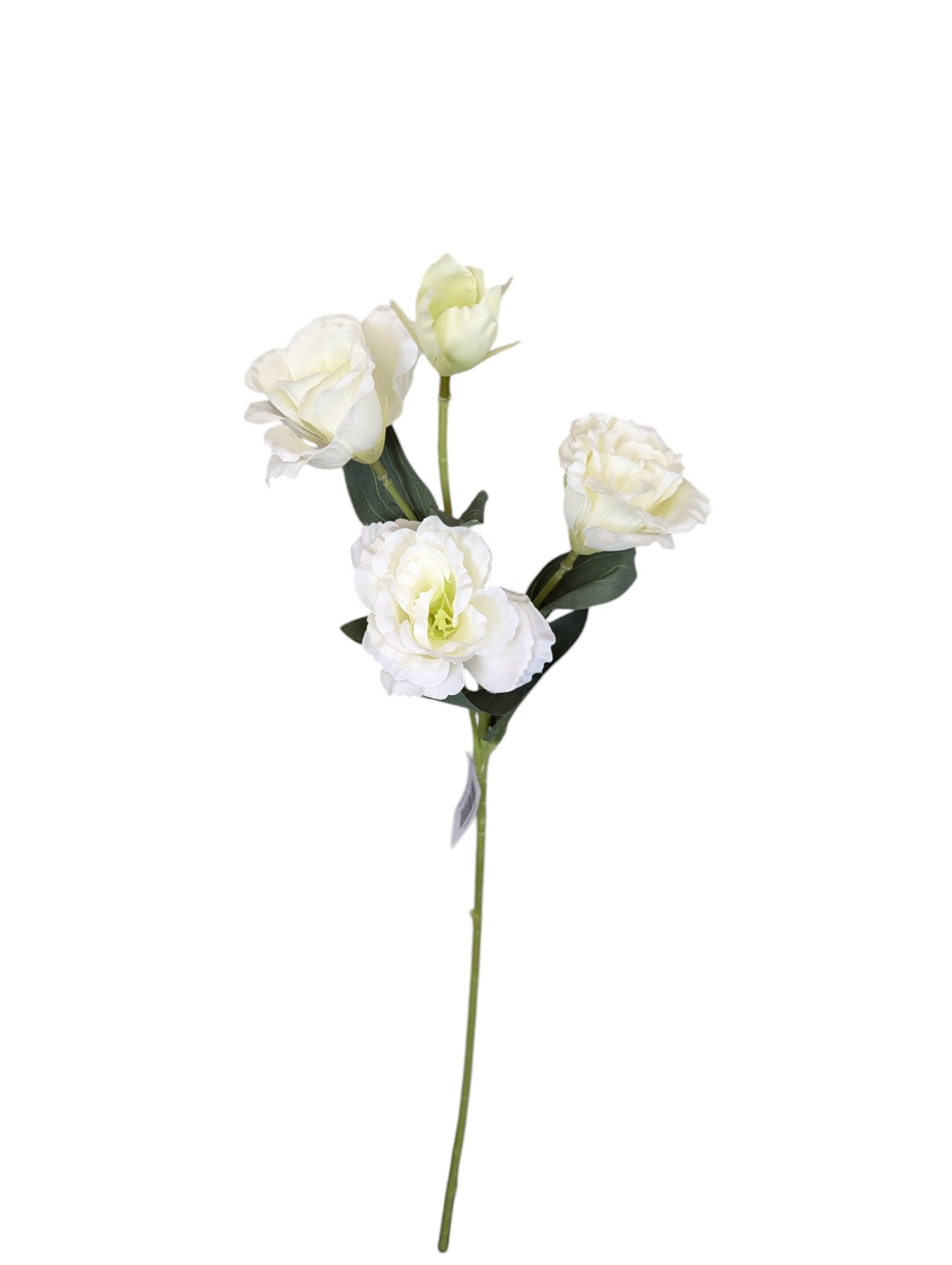Lisianthus Spray
