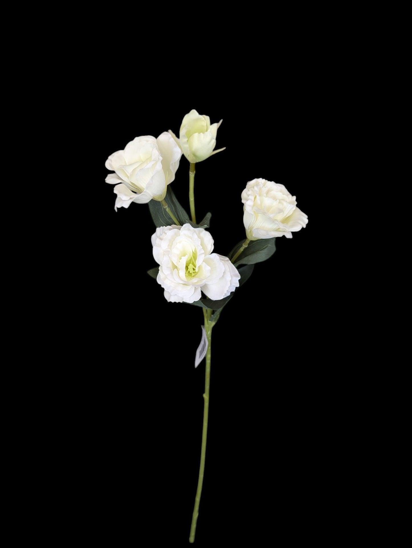 Lisianthus Spray