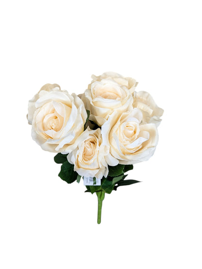 Rose Bush x 9 Heads