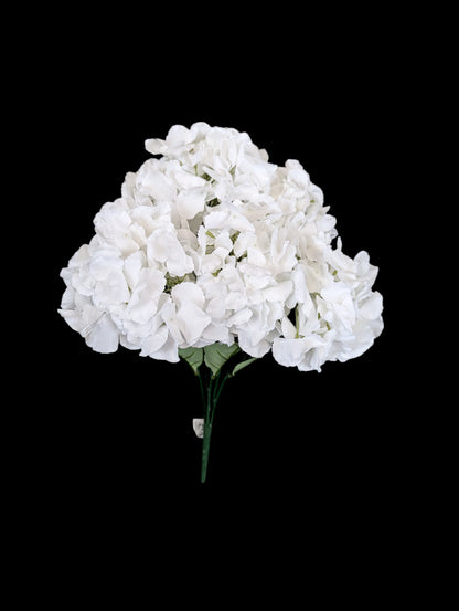 Hydrangea Bush XL White