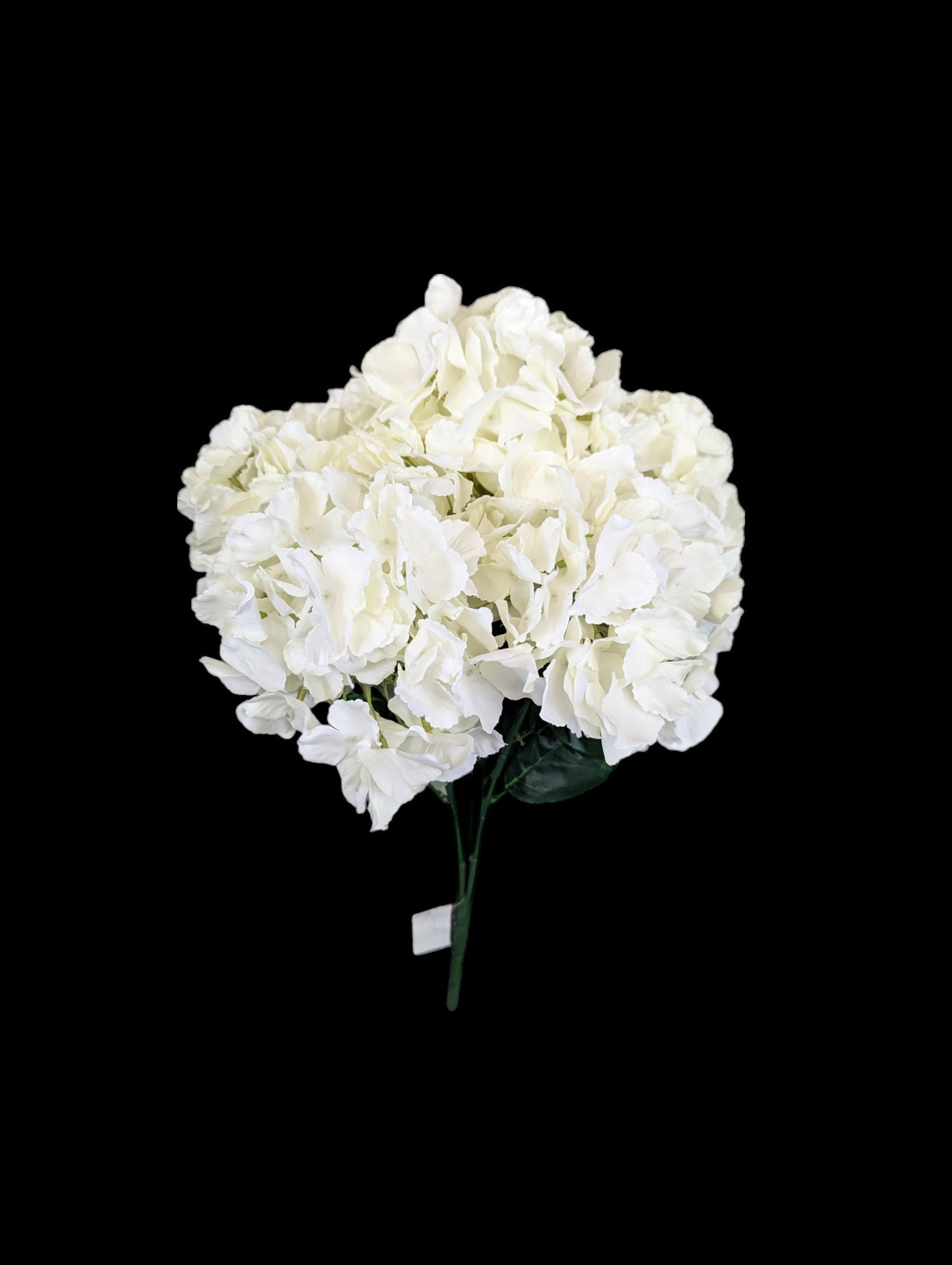 Hydrangea Bush XL Ivory