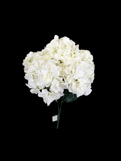 Hydrangea Bush XL Ivory