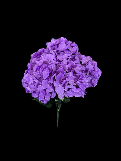 Hydrangea Bush XL Purple