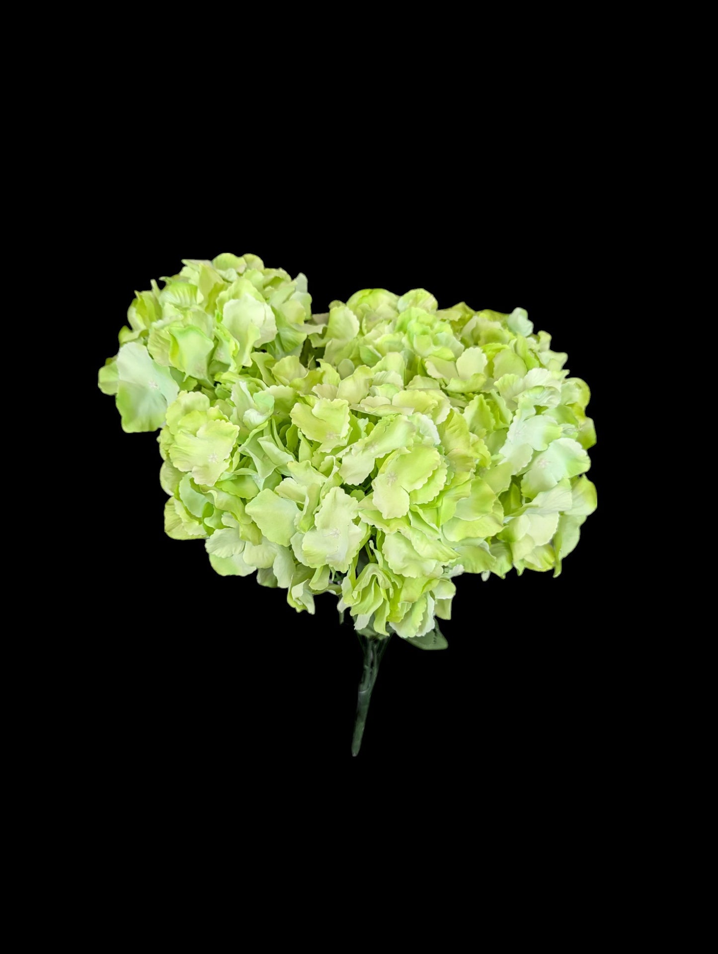 Hydrangea Bush XL  LT/GR