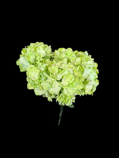 Hydrangea Bush XL  LT/GR