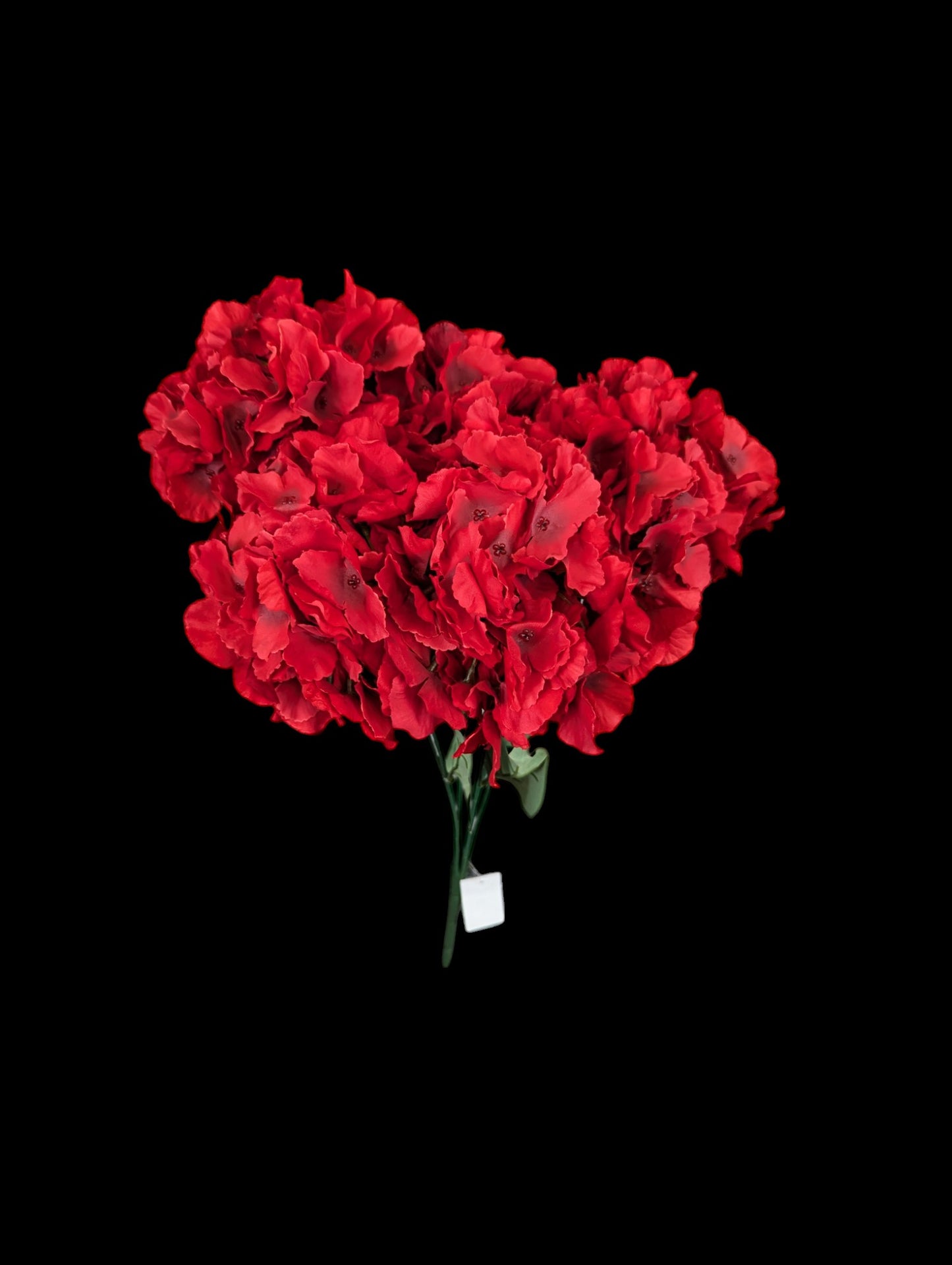 Hydrangea Bush XL  Red