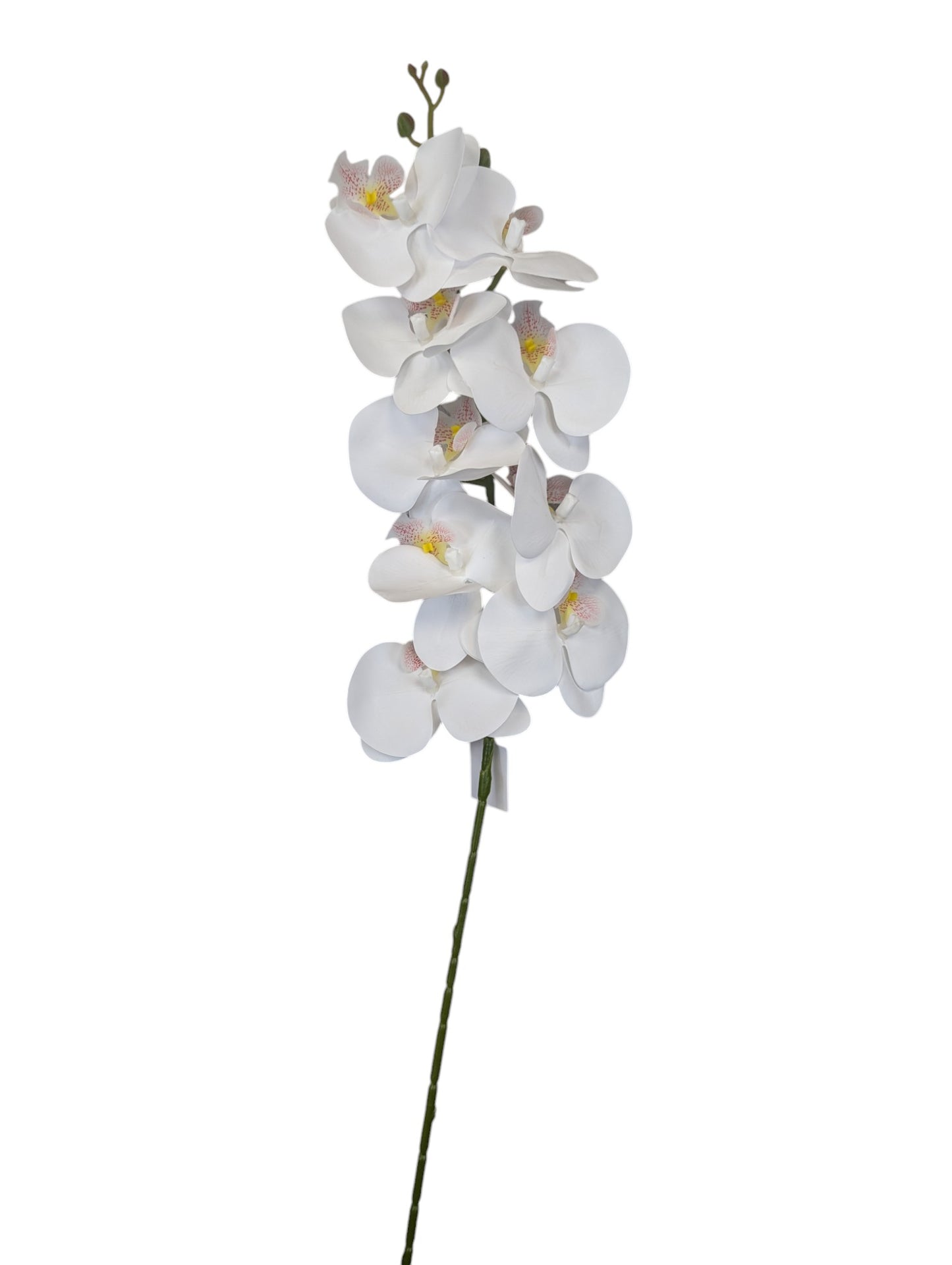 Orchid Stem 9 Heads