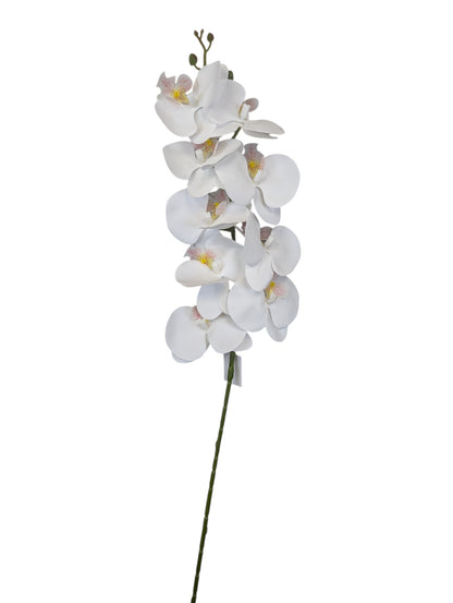 Orchid Stem 9 Heads