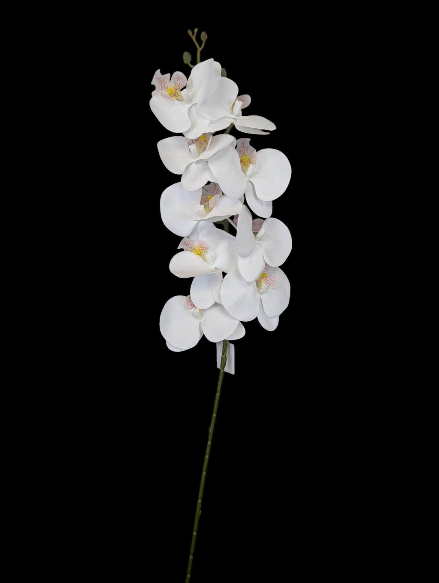 Orchid Stem 9 Heads