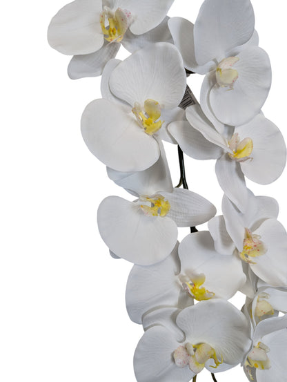 Giant Orchid Stem 45" Long x12 Heads