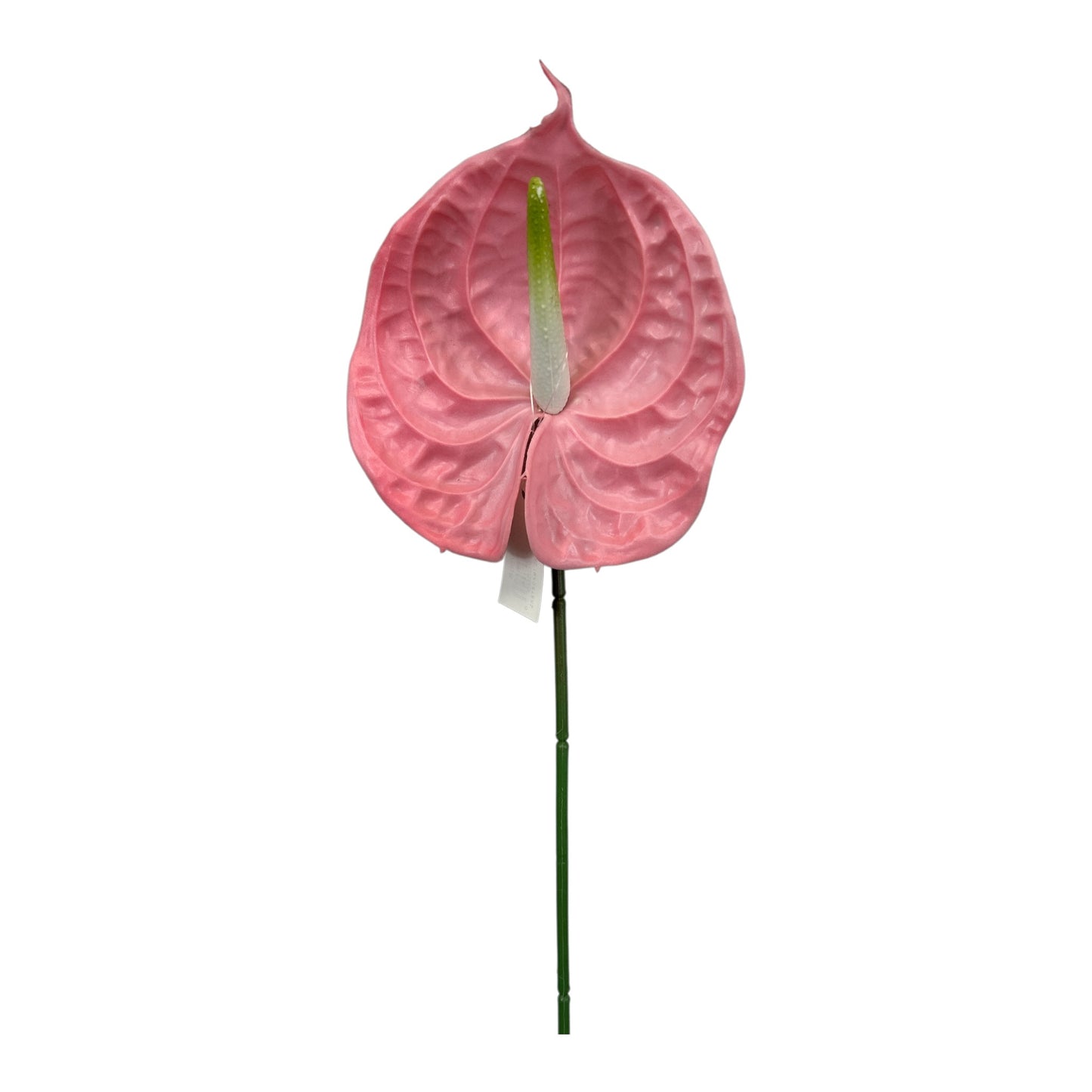 Pink Anthurium Spray