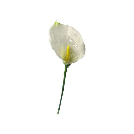 Calla Lily Stem