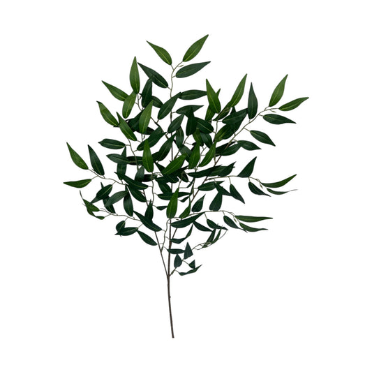 Ruscus Leaf Spray