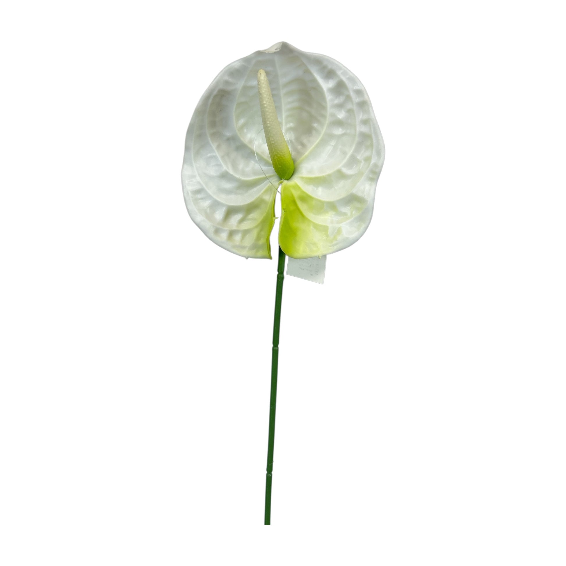 White & Green Anthurium Spray