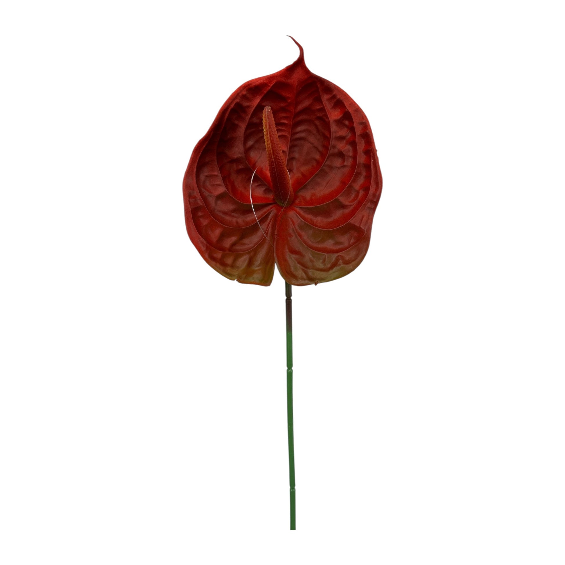 Burgundy Anthurium Spray