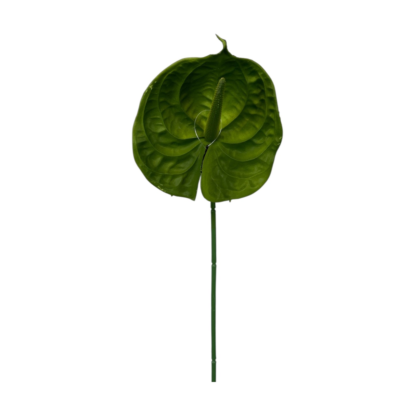 Green Anthurium Spray