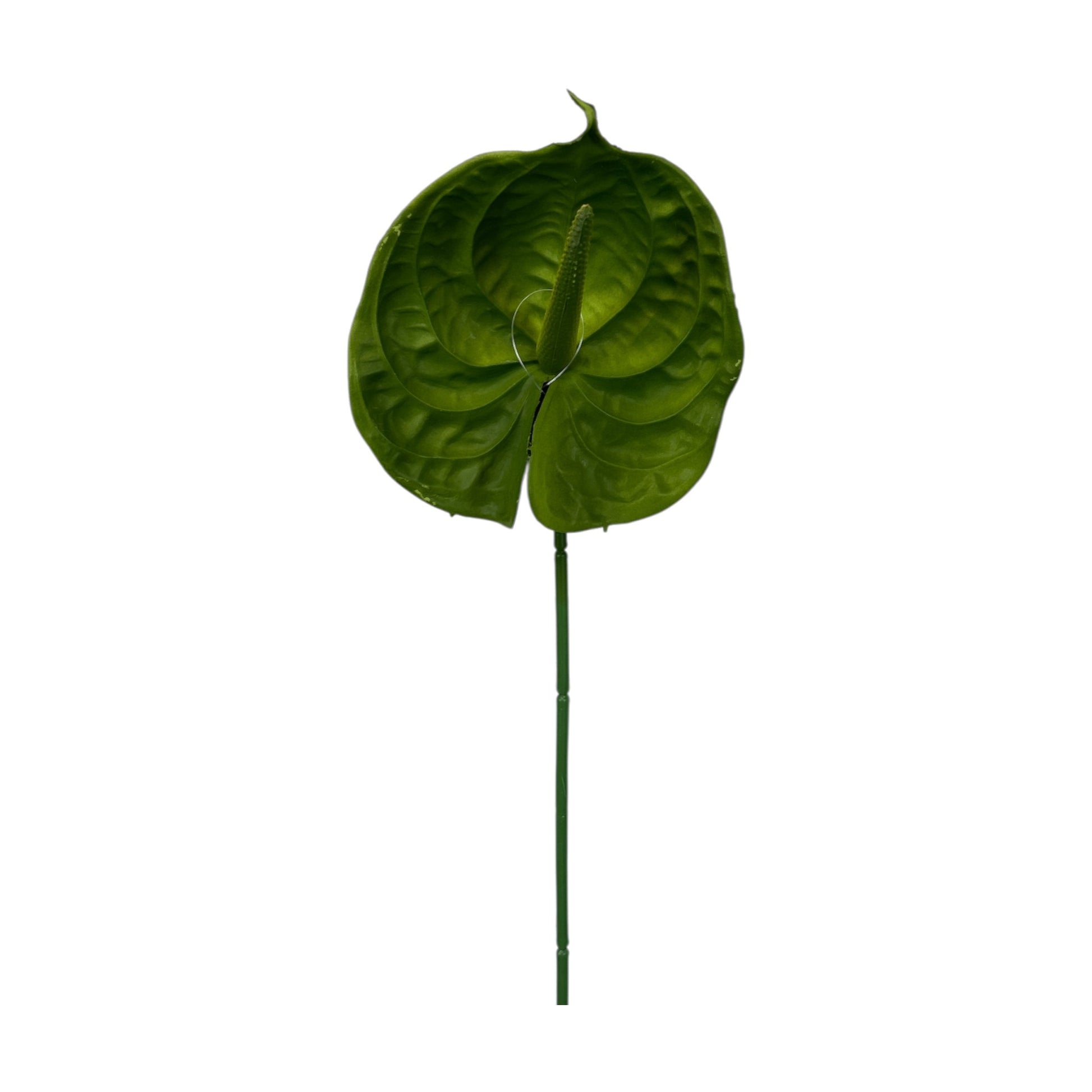 Green Anthurium Spray