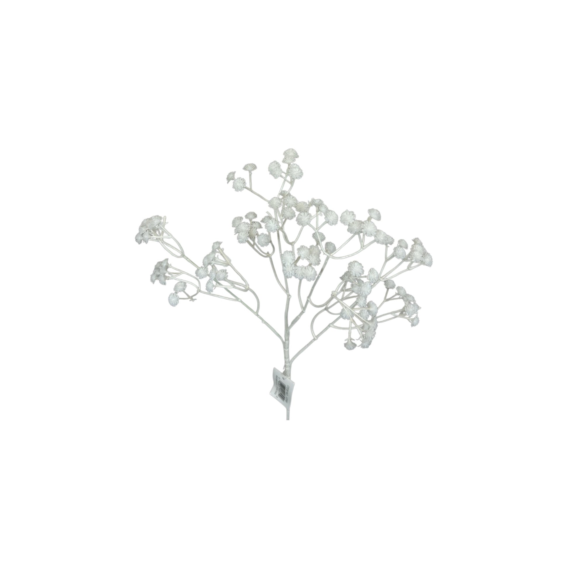 White Baby's Breath Stem
