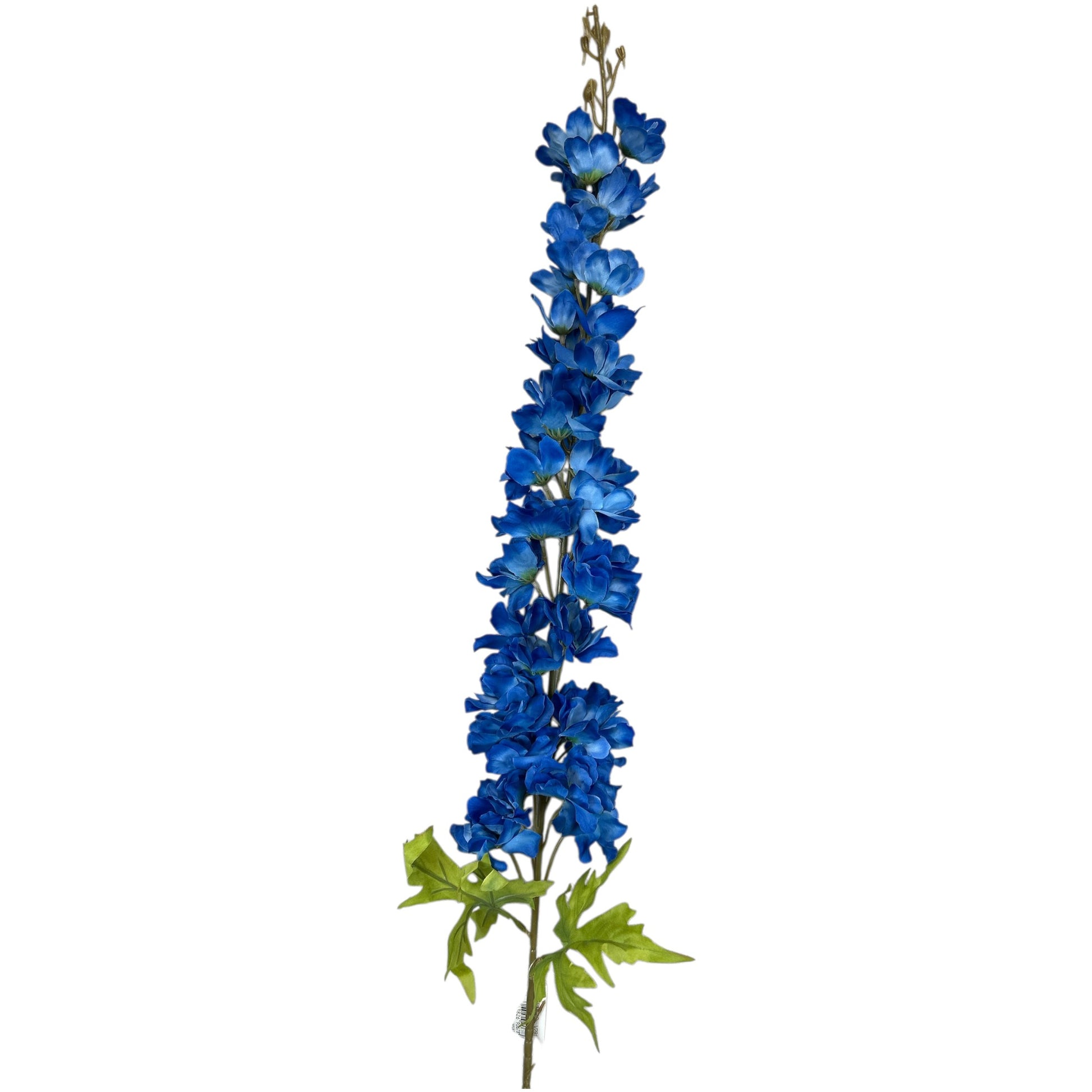 Delphinium Spray