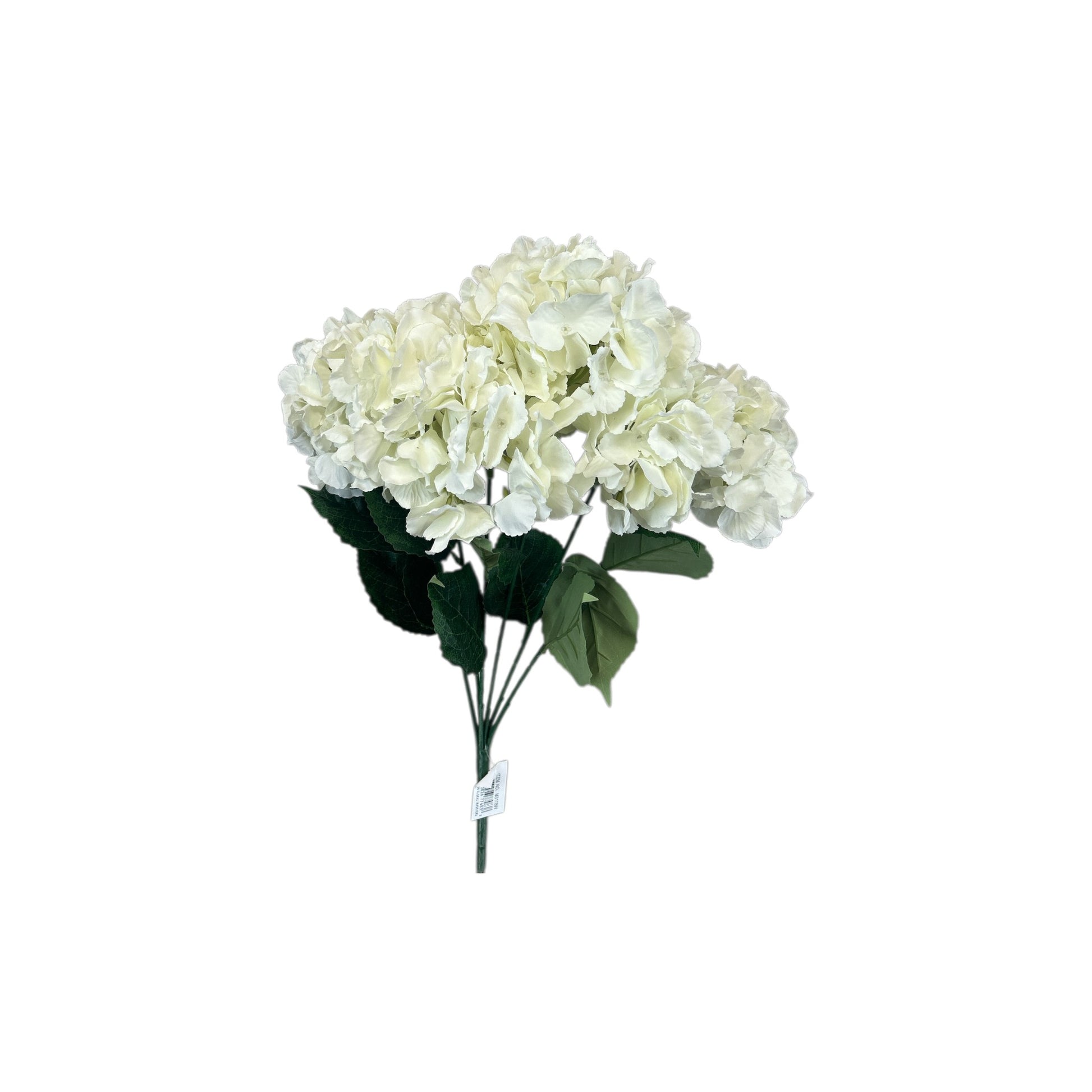 Bridal White Hydrangea Bush- 6 heads