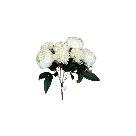 Bridal White Mixed Peony Bush