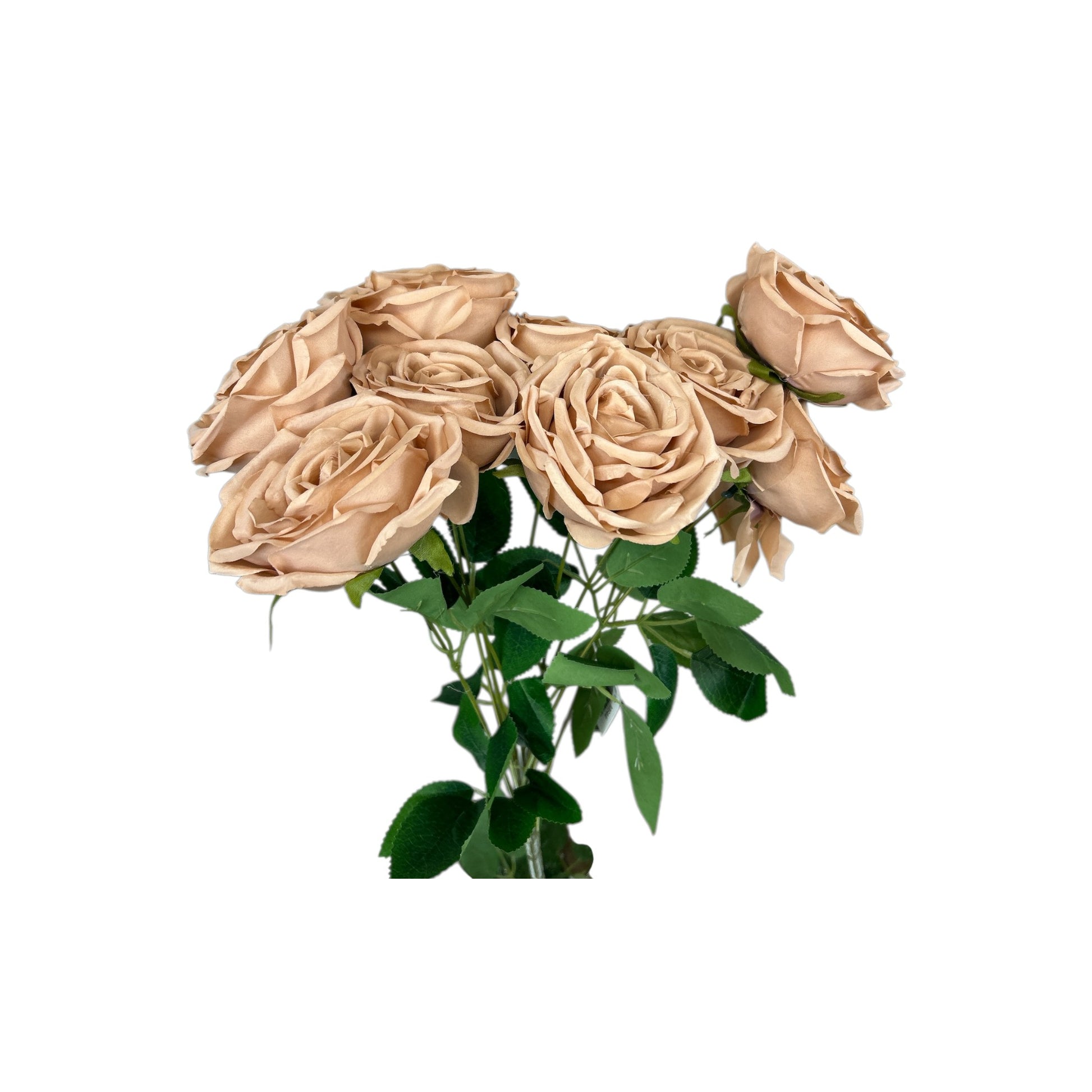 Brown Rose Bush- 9 heads