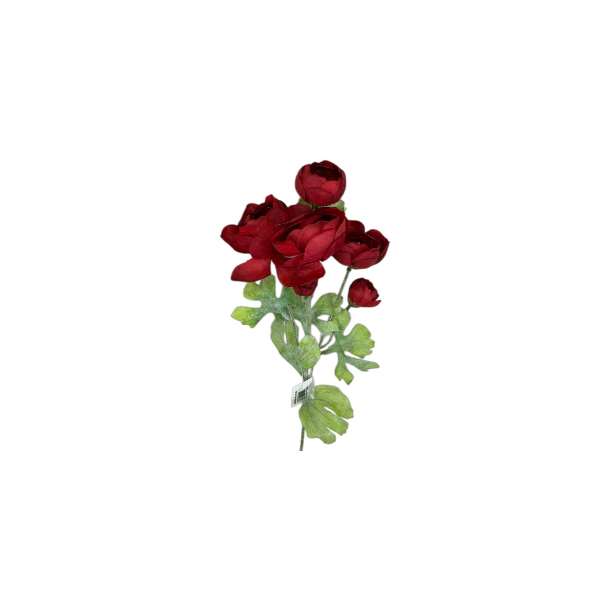Burgundy Ranunculus Spray- 3 heads
