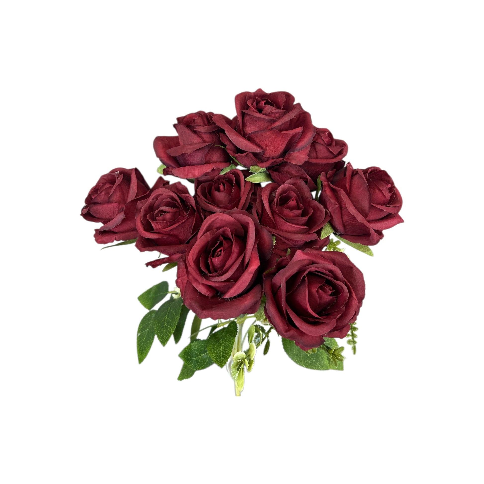 Burgundy Rose Bush- 10 heads