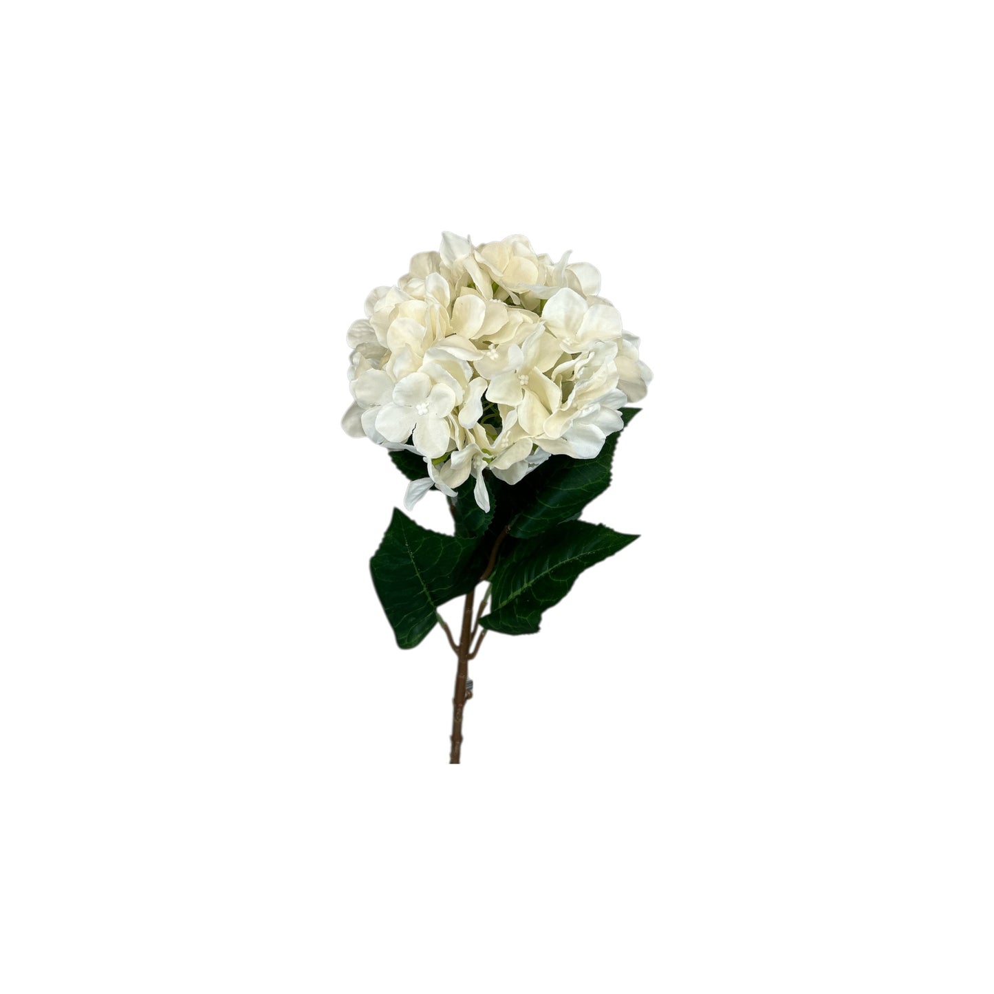 Bridal White Hydrangea Stem