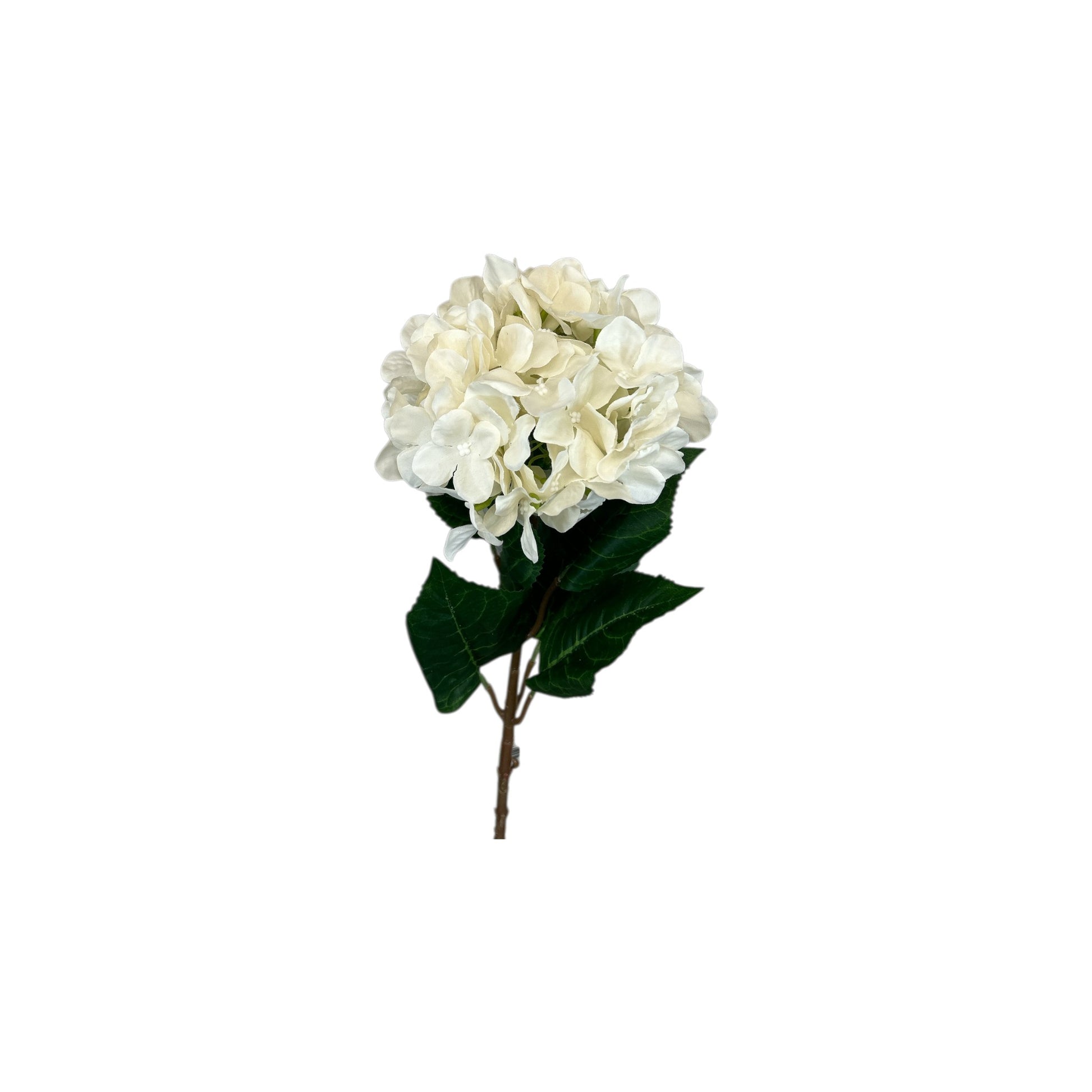 Bridal White Hydrangea Stem