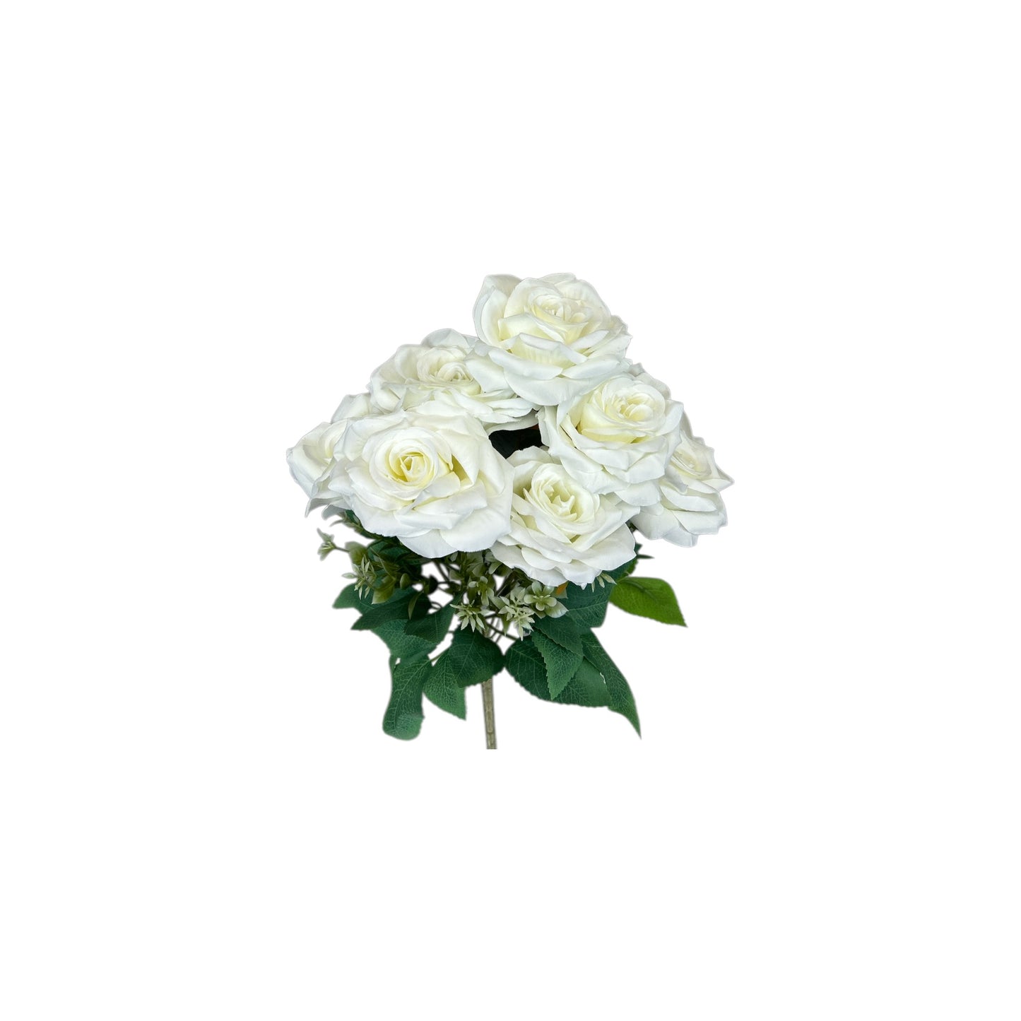 Bridal White Rose Bush- 7 heads