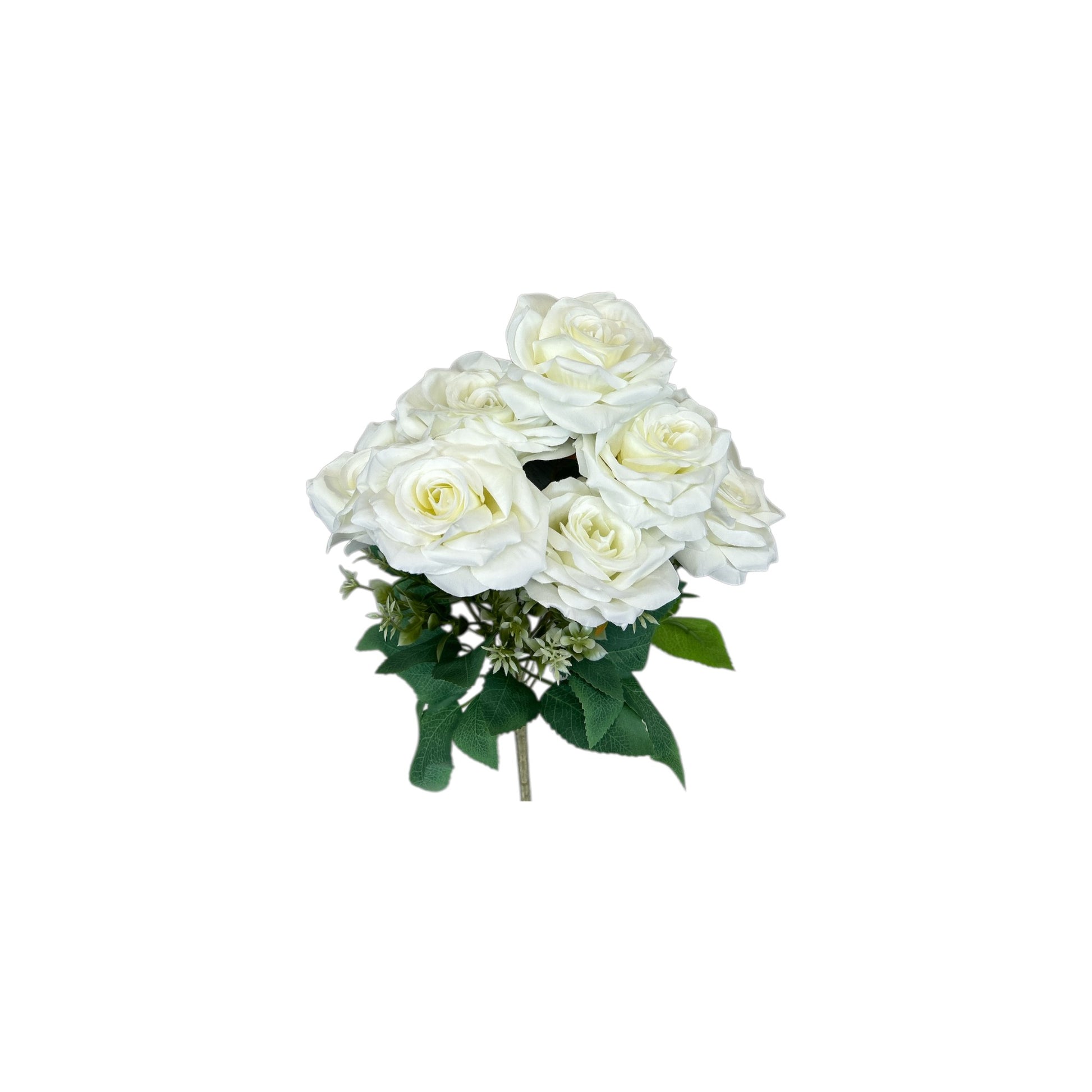 Bridal White Rose Bush- 7 heads