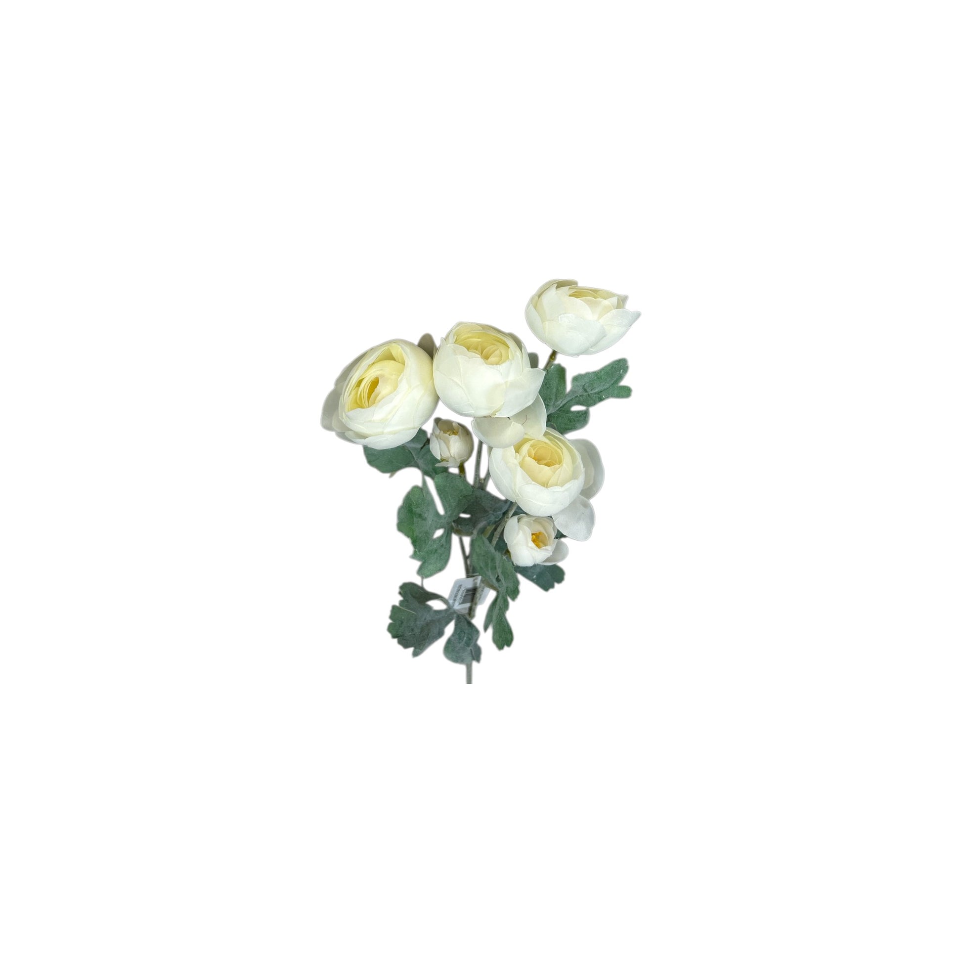 Bridal White Ranunculus Spray- 3 heads