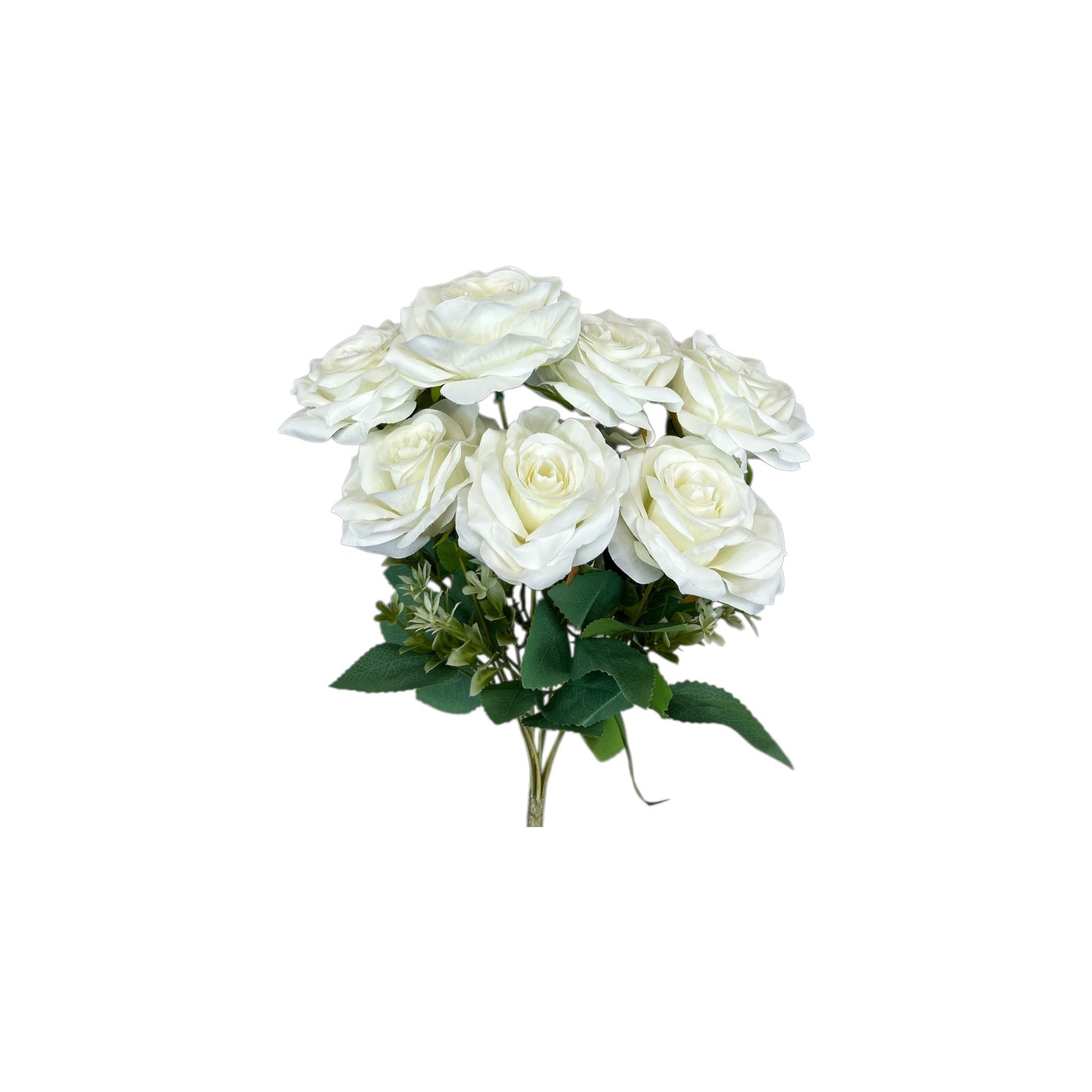 Bridal White Rose Bush- 7 heads